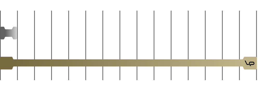 LP-Loop-graph-elasticity