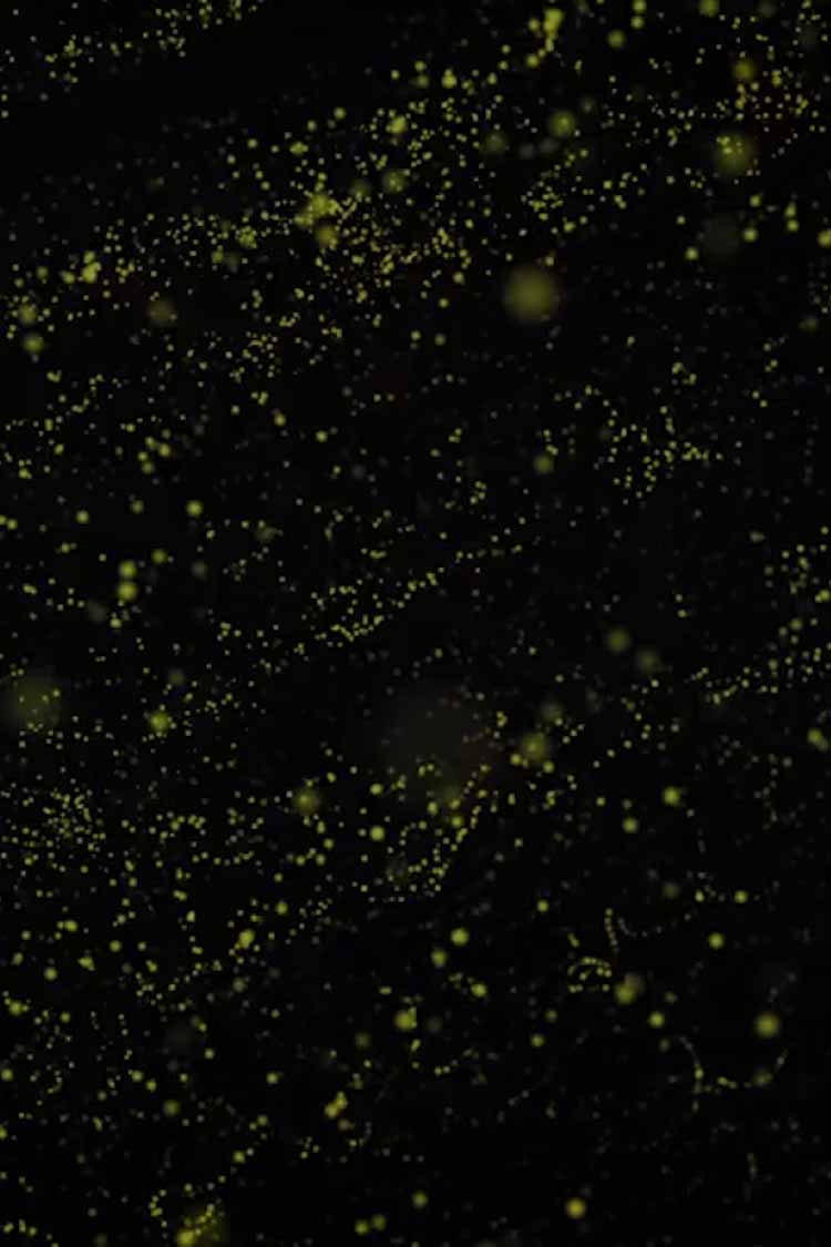 Slide background: Glowing green bubbles floating throughout an unlit liquid.