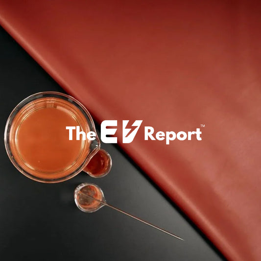 The EV Report: Interview with Founder & CEO, Vicki von Holzhausen