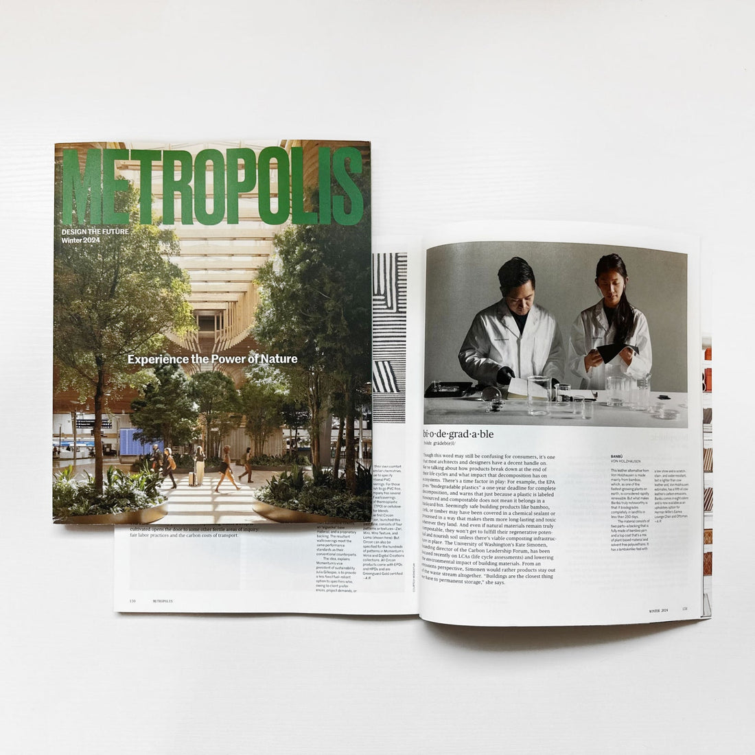 Metropolis Magazine: Winter Edition: Experience the Power of Nature