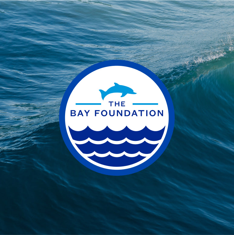 vH Essay: Giant Kelp Restoration: The Bay Foundation's Mission in Action
