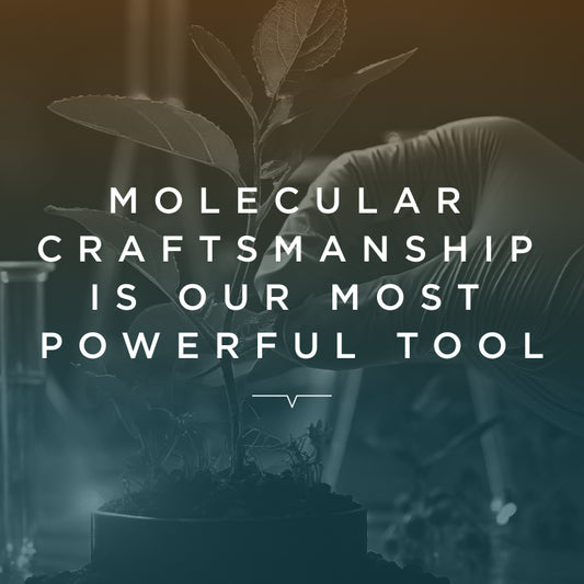 VH Essay: Molecular Craftsmanship Is Our Most Powerful Tool