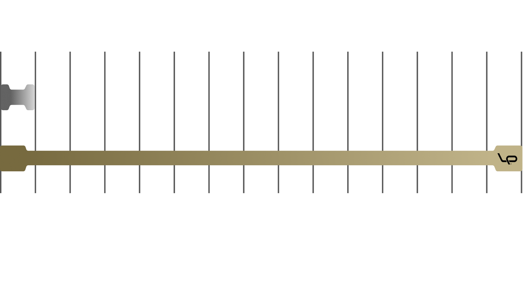 LP-Loop-graph-elasticity