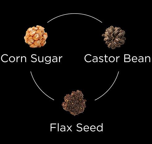 Corn Sugar, Castor Bean, Flax Seed