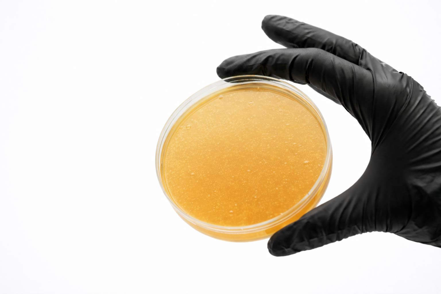 Liquidplant biofermentated