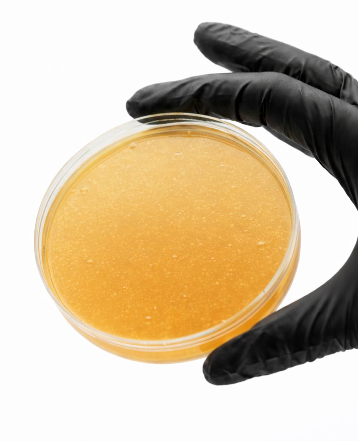 Liquidplant biofermentated