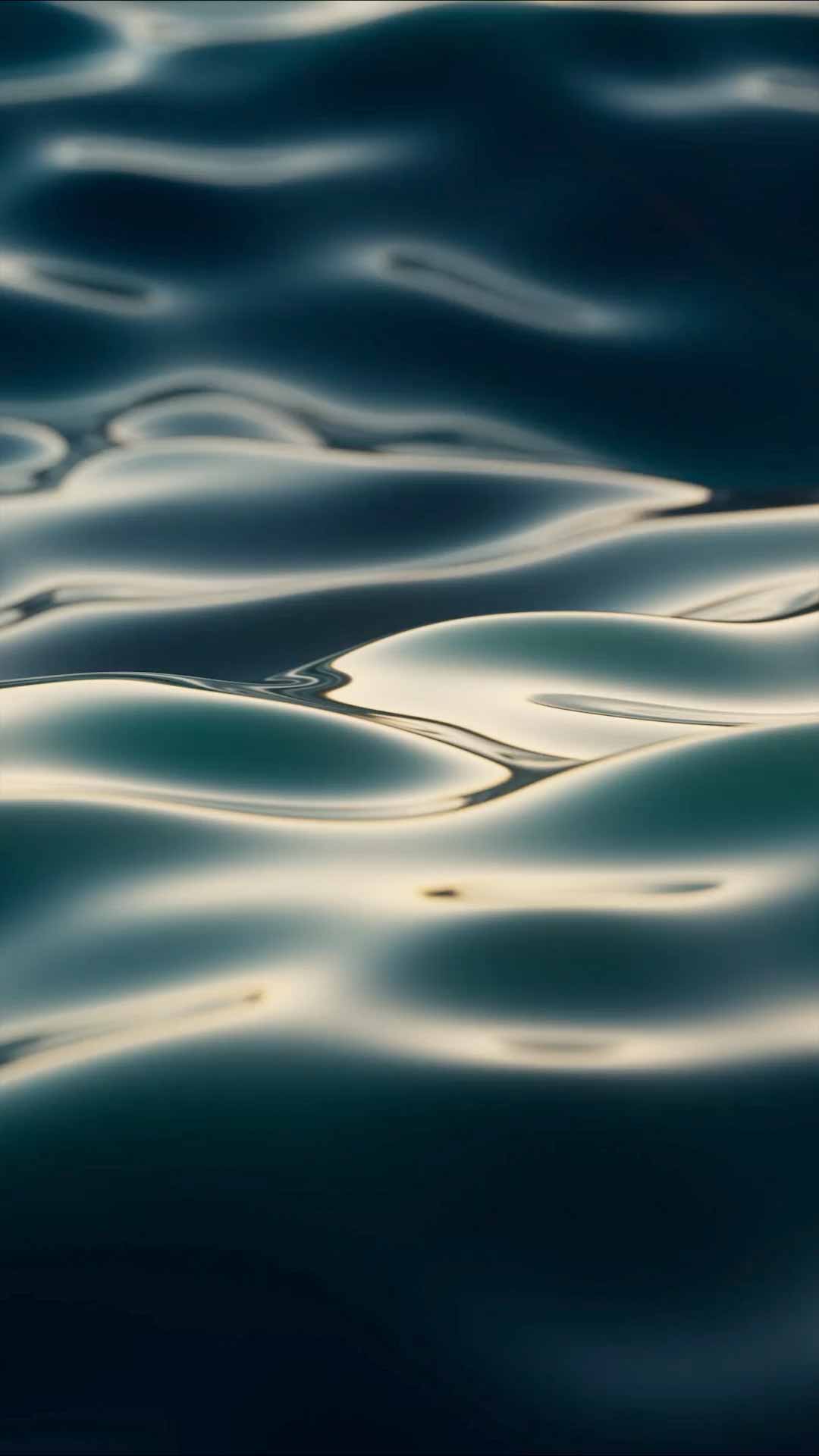 About von Holzhausen Video Poster